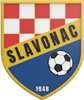 Wappen NK Slavonac Gornja Bebrina