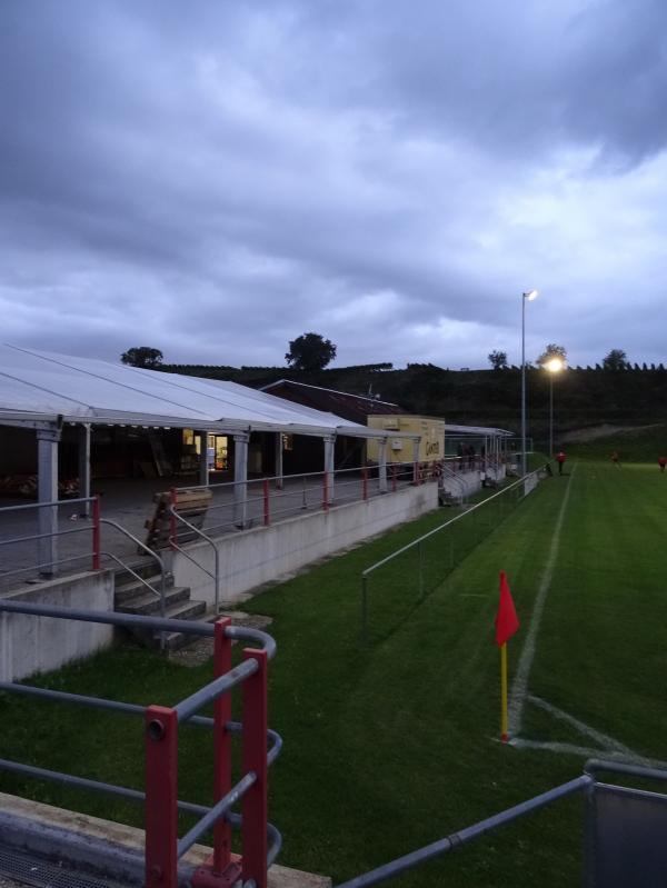 Weinbergstadion - Endingen/Kaiserstuhl-Kiechlinsbergen