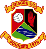Wappen Seagoe FC