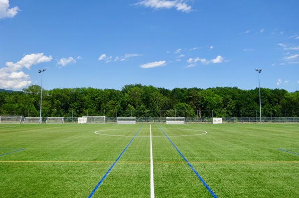 Centre Sportif En Bord terrain F - Gland