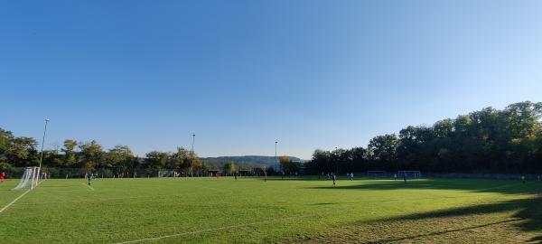 Elzbergstadion - Elztal-Dallau