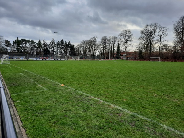 Sportpark Actief veld 3 - Tynaarlo-Eelde