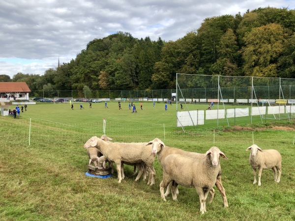 Sportanlage Taubenbach - Reut-Taubenbach