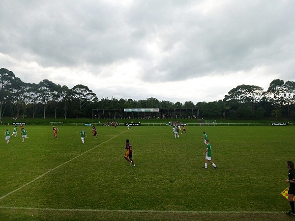 Allen Hill Stadium - Devonport - Auckland