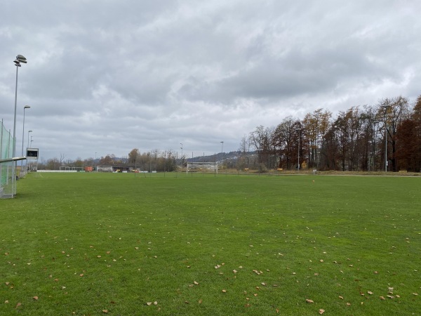 Sportplatz Allmeind Platz 2 - Schmerikon