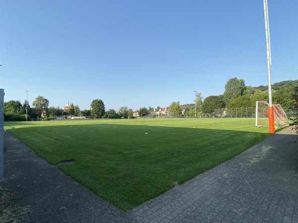 Sportplatz Eisweiher Platz 2 - Oberwil