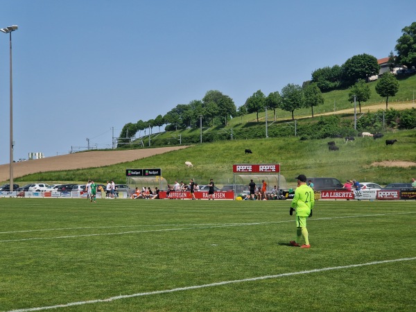 Stade Communal du Glaney - Romont