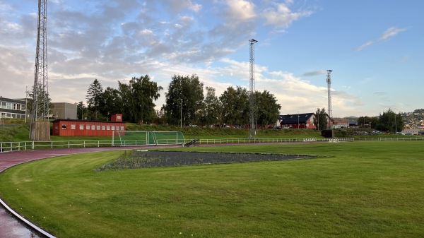 Moan gress - Levanger
