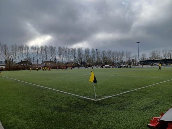 Sportpark Amstelhoef veld 3 - Oss