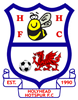 Wappen Holyhead Hotspur FC diverse  81084