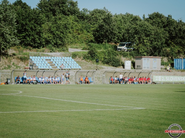 Igrišče Ivan Gregorič - Dekani