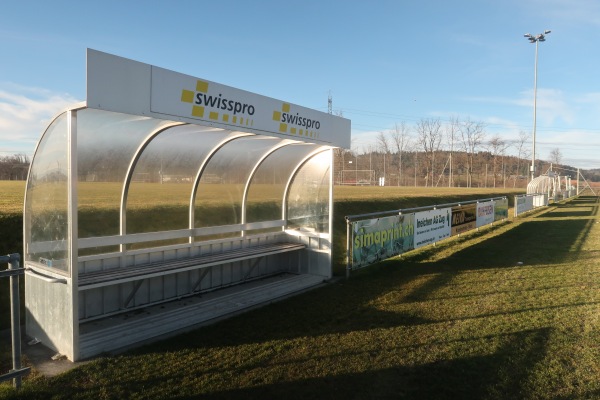 Sportplatz Unterallmend - Root