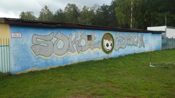 Boisko w Gościm - Gościm