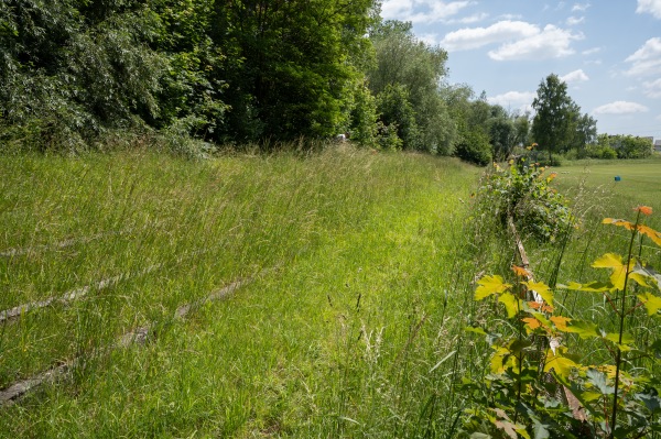 Stadion Miejski w Chełmku - Chełmek