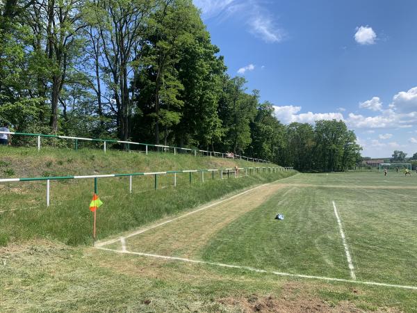 Boisko w Dzikowicach - Dzikowice