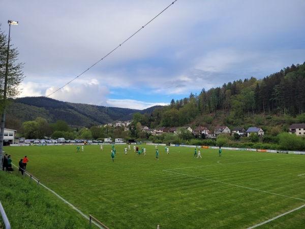 Sportplatz am Neckar - Hirschhorn/Neckar