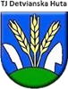 Wappen TJ Detvianska Huta