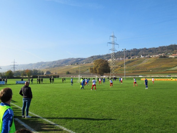 Terrain En Chanivet - Perroy