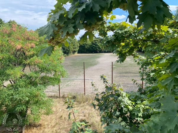 Städtischer Sportplatz Reutersbrunnenstraße - Nürnberg-Bärenschanze