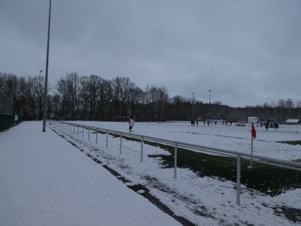 Waldstadion Nebenplatz - Limbach-Oberfrohna