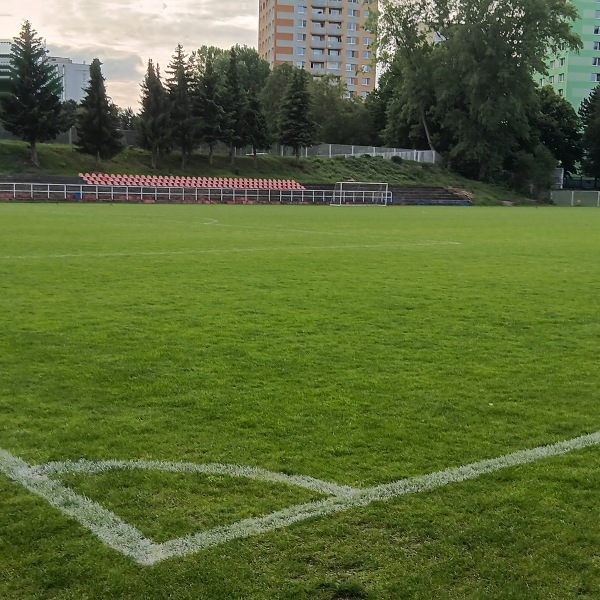 Hřiště u městské haly vodova č. 1 - Brno-Královo Pole