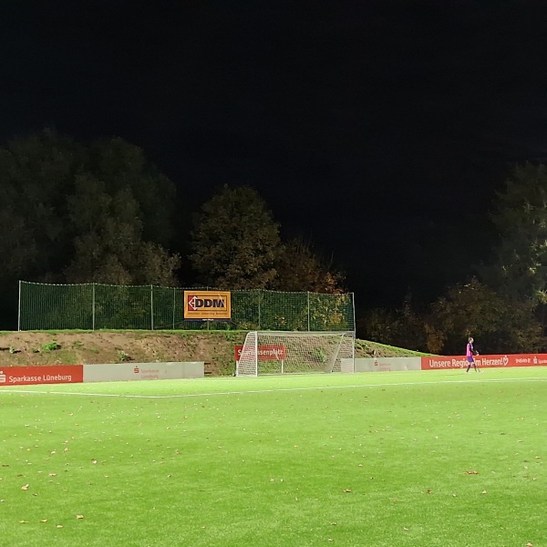 Sportanlage Sülzwiesen C-Platz - Sparkassenplatz - Lüneburg