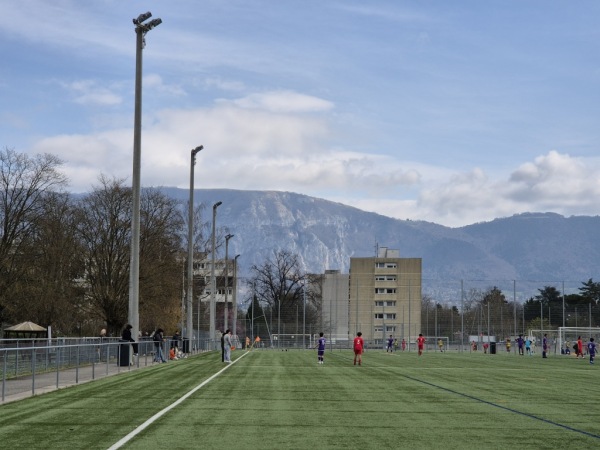 Stade des Fraisiers terrain B - Grand-Lancy