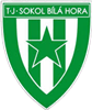 Wappen TJ Sokol Bílá Hora