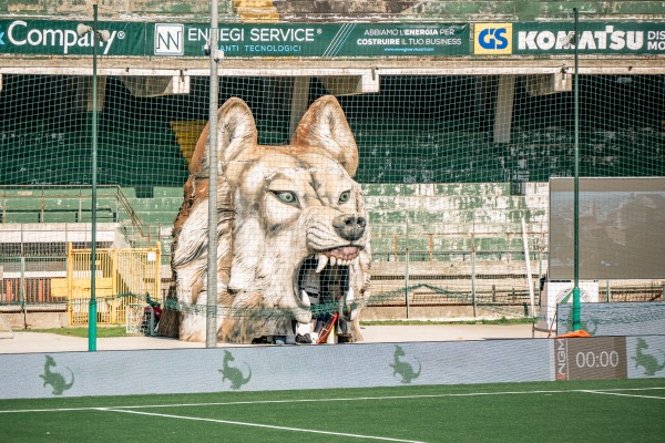 Stadio Partenio - Adriano Lombardi - Avellino