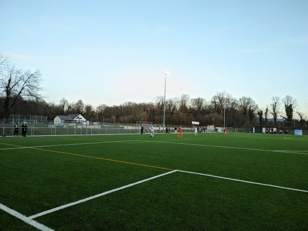 Waldeckstadion Nebenplatz 1 - Reute/Breisgau