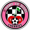 Wappen Dinamo Chequers FC  89374