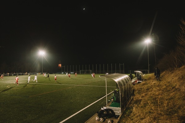 Kräuter Mix Arena Nebenplatz - Abtswind