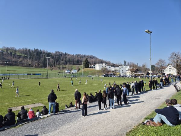 Sportplatz Laupenstrasse - Wald ZH