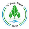 Wappen TJ Sokol Žilina B  123000