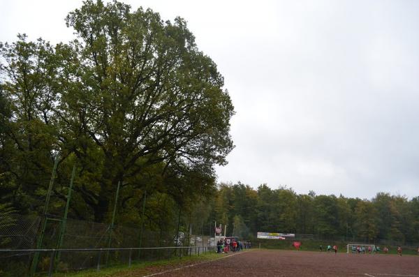 Köppelarena - Kirchen/Sieg-Offhausen