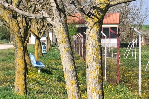 Gipedo Palaiou Agioneriou - Palaio Agioneri