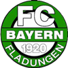 Wappen FC Bayern Fladungen 1920 diverse