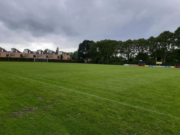 Sportpark Coendersborg veld 4-Blauw-Geel - Groningen