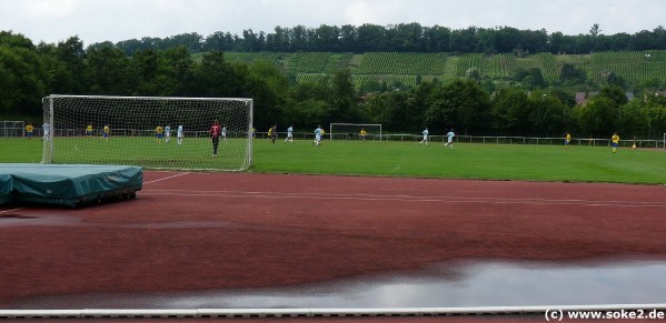 Stadion im Wilhelm-Braun-Sportpark - Stuttgart-Feuerbach