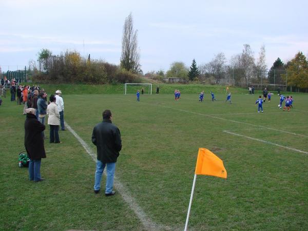 HWG-Stadion am Zoo Nebenplatz 3 - Halle/Saale