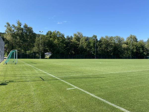 Sportanlagen Gründenmoos Platz 2 - St. Gallen