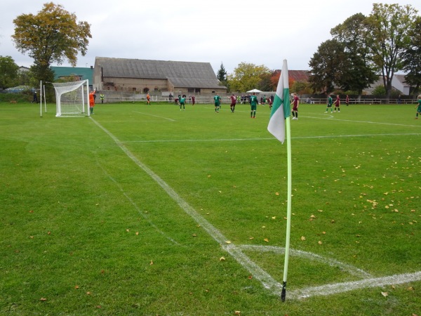 Boisko w Trzebicz - Trzebicz