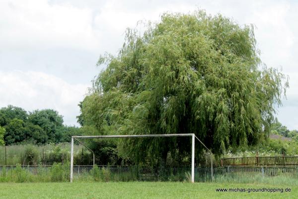 Stadioni Nigeshi Jobava - Gamoghma Shua Khorga