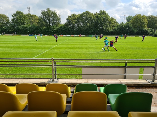 Sportpark De Bosk veld 5-HO - Achtkarspelen-Harkema