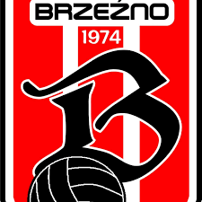 Wappen WKS Bresna Brzeźno  112471