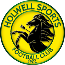 Wappen Holwell Sports FC  87809
