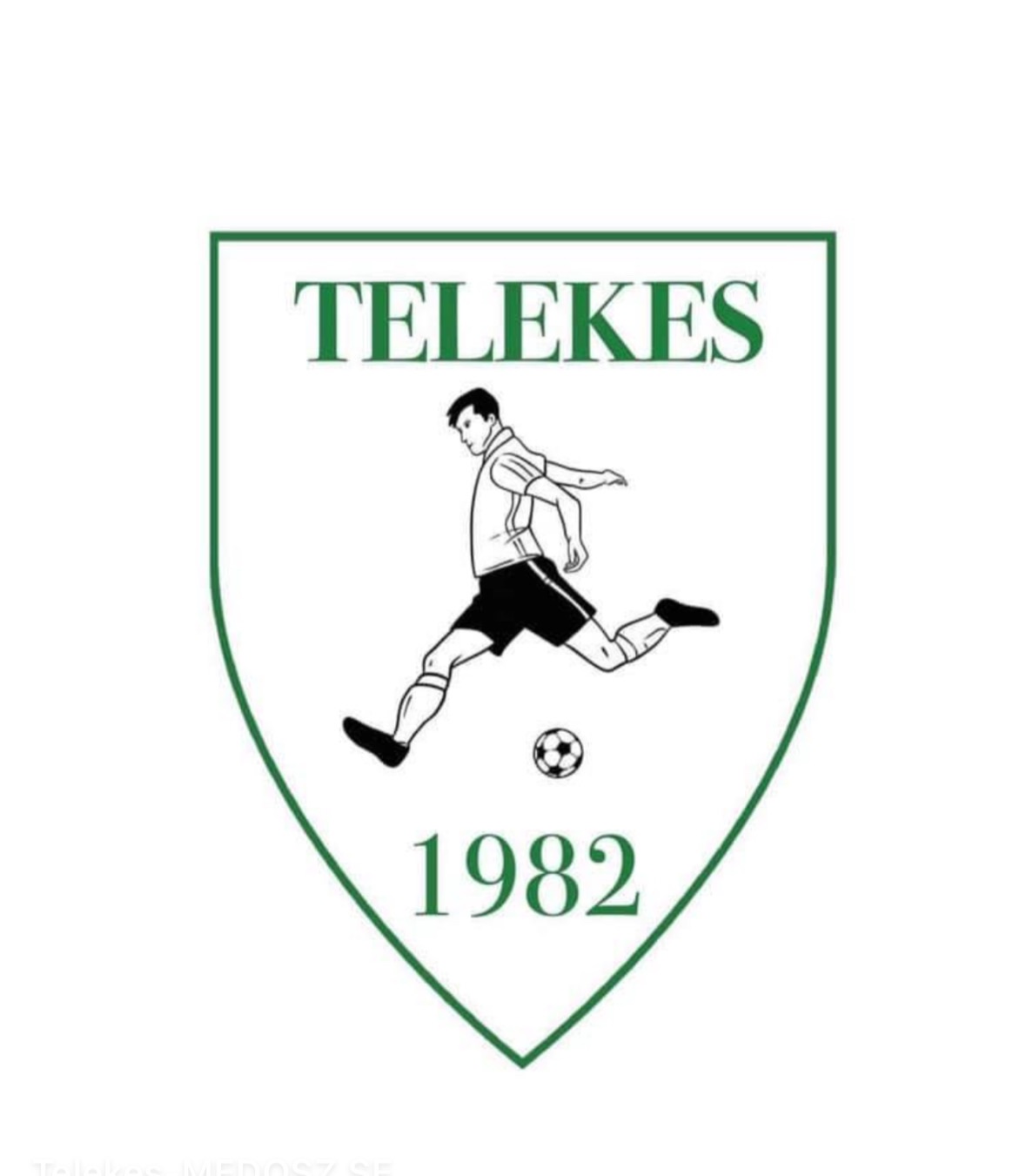 Wappen Telekes Medosz SE