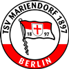 Wappen Tempelhofer SV Mariendorf 1897 diverse  50312