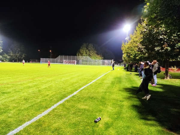 Sportplatz Schule - Niederwil SG