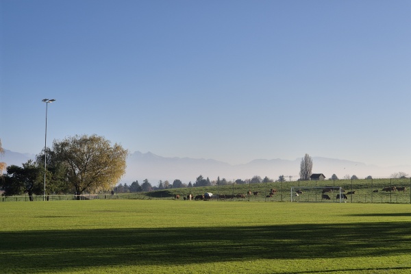 Centre Sportif de la Chataigneriaz - Founex